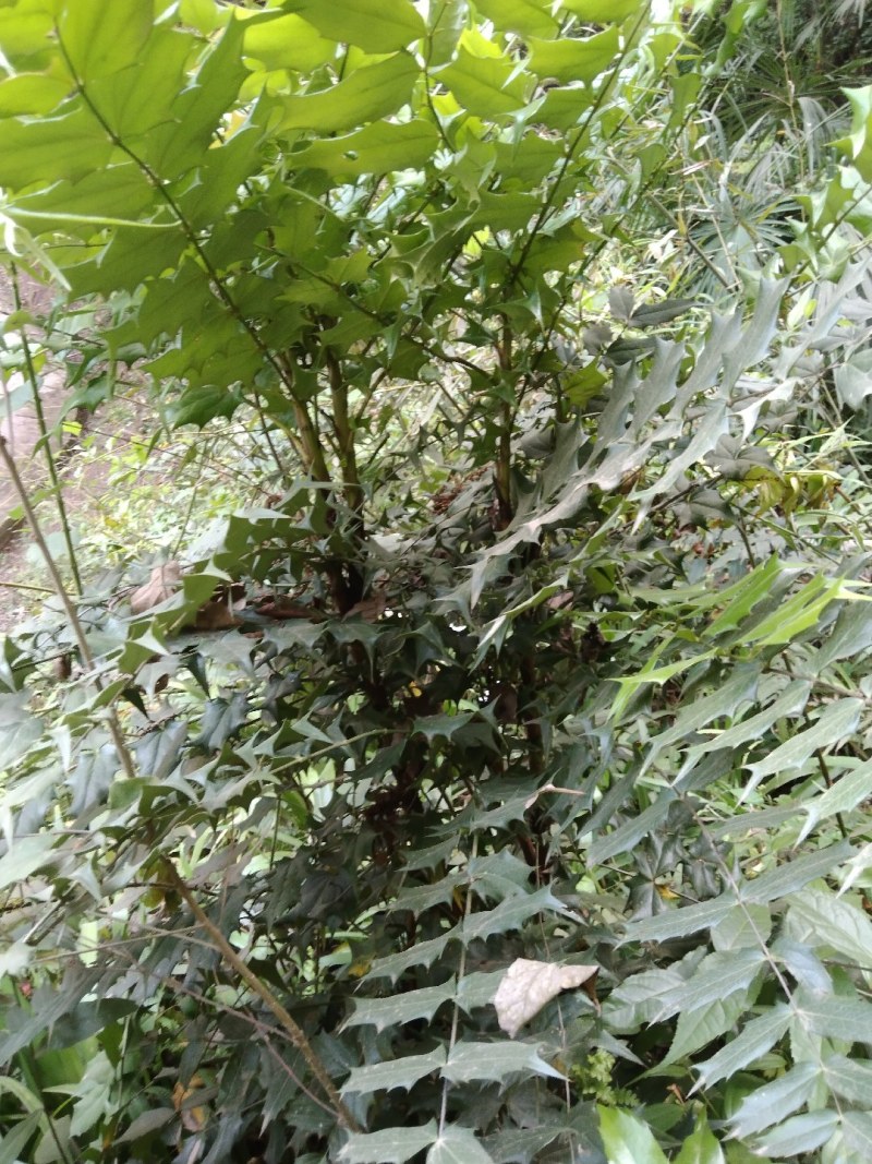 产地直销，全国发货