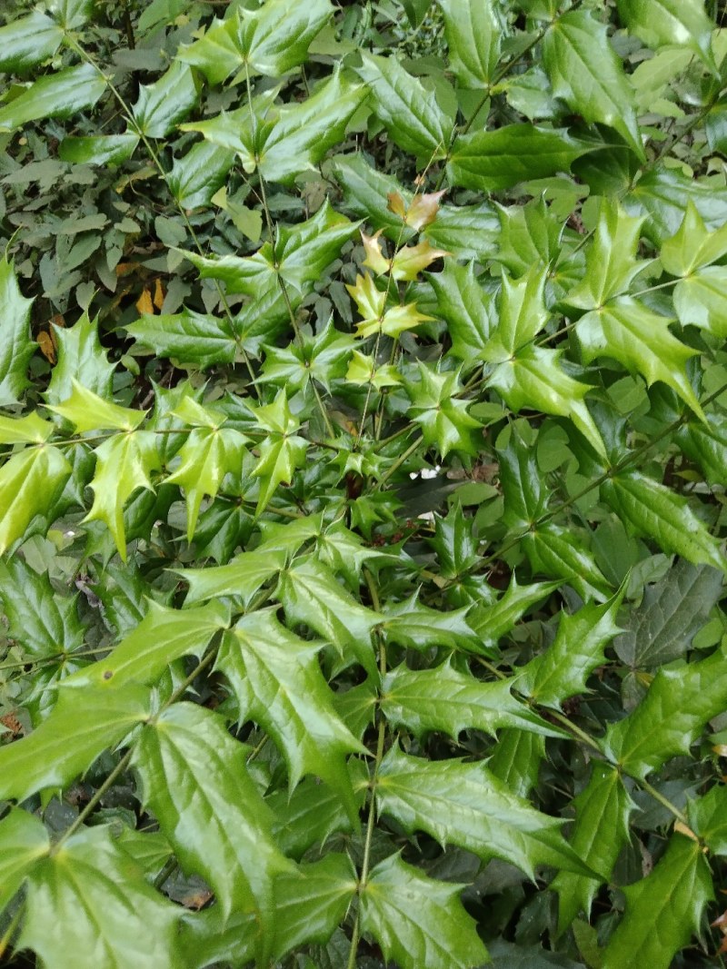 产地直销，全国发货