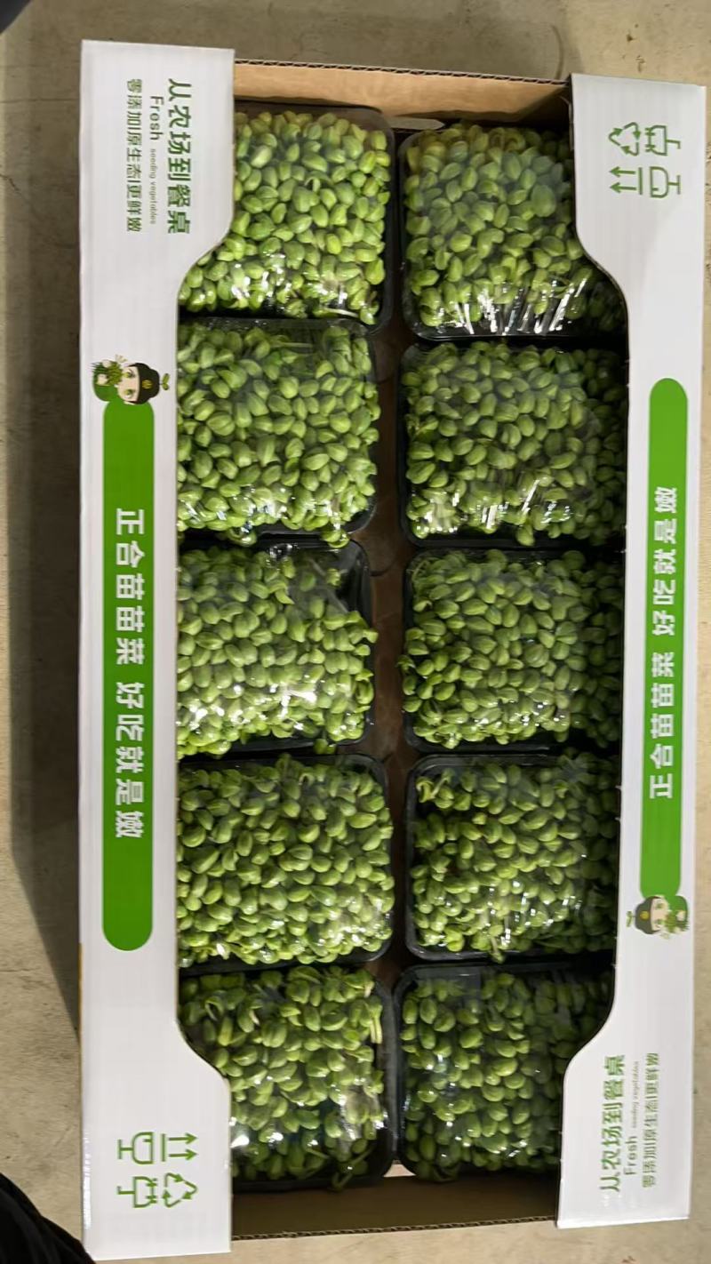 黄豆苗，营养健康