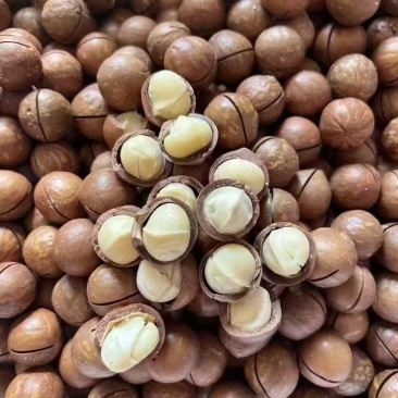 夏威夷果
