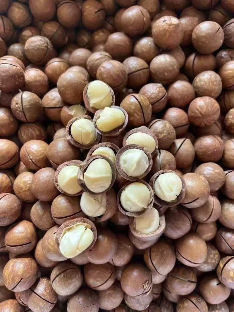 夏威夷果