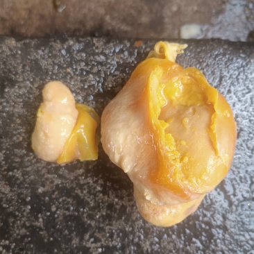 鸡宝