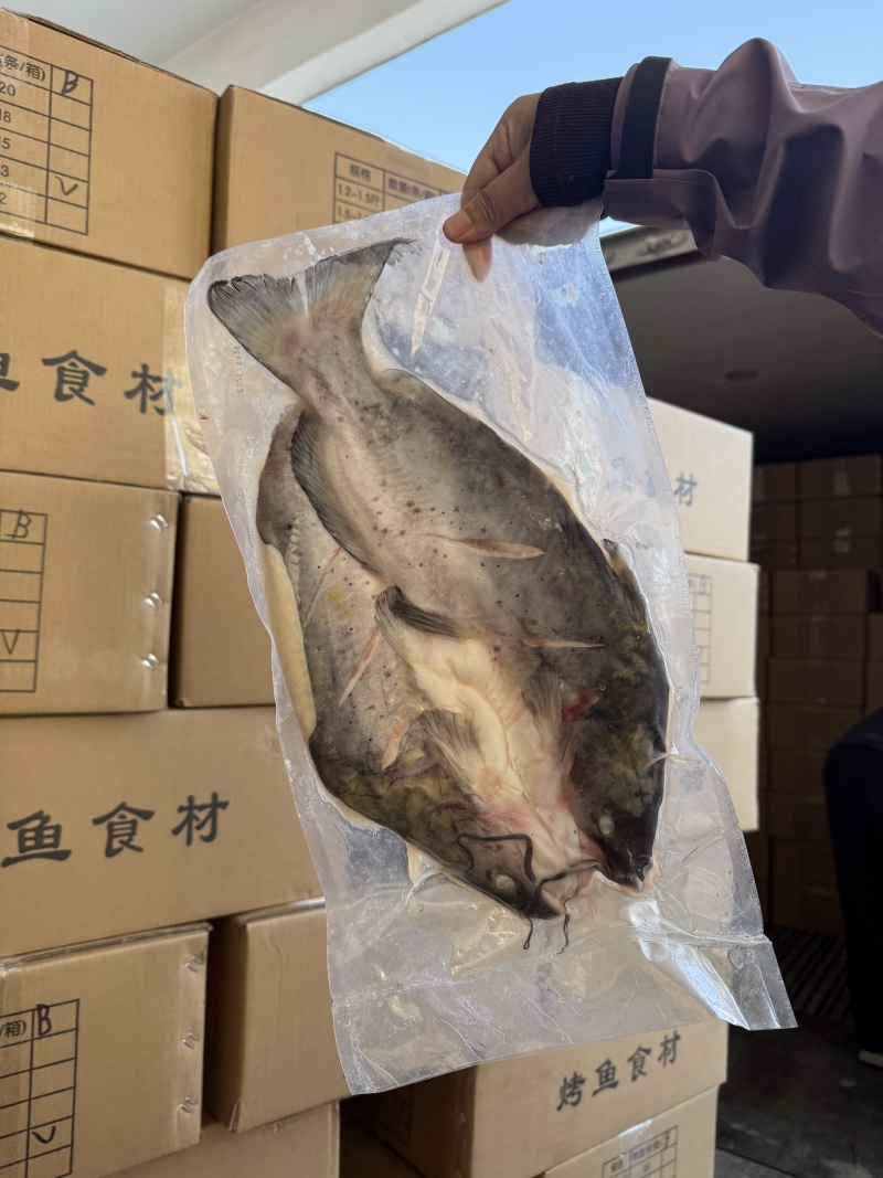 开背腌制清江鱼全规格到货一柜