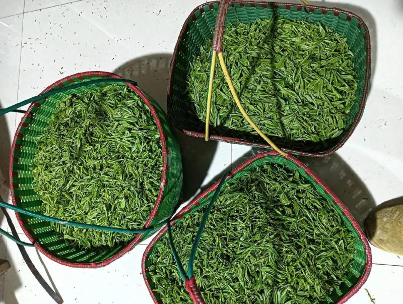 十里坪茶
