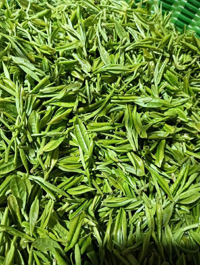 十里坪茶