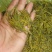十里坪茶