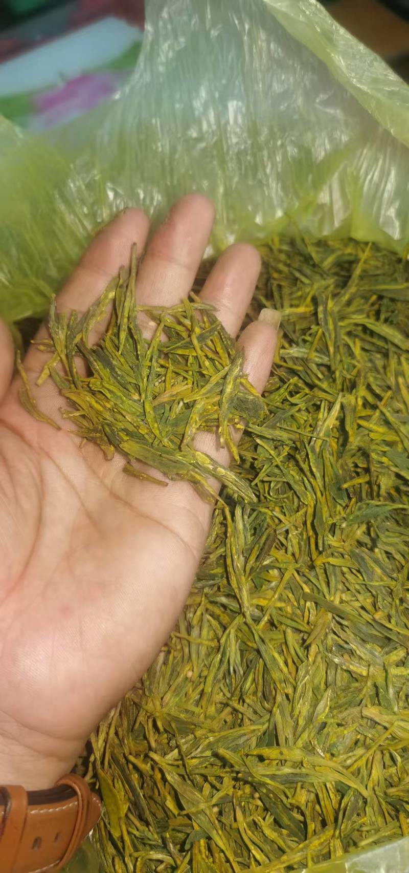 十里坪茶
