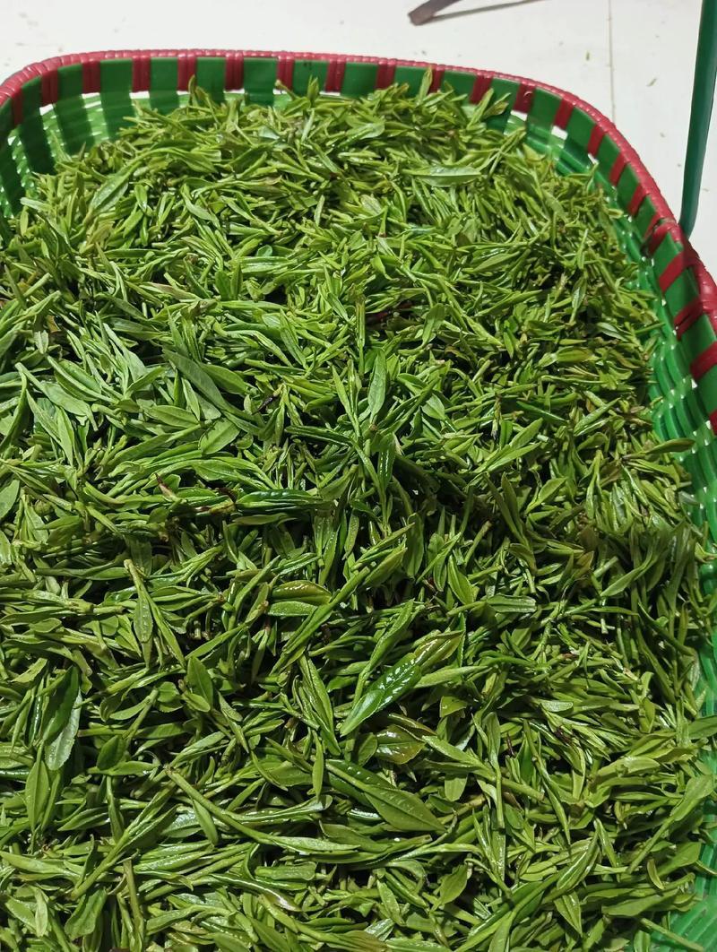 十里坪茶