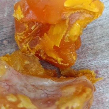 鸡宝
