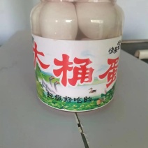 大桶蛋