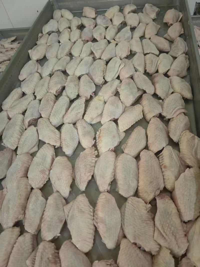 鸡翅中大肉食母鸡三黄鸡翅中各种品种齐全质量产量稳定手续齐全国