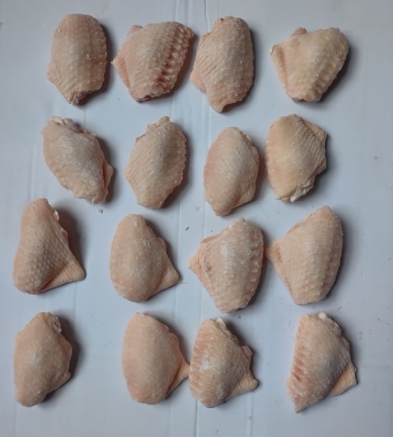 鸡翅中大肉食母鸡三黄鸡翅中各种品种齐全质量产量稳定手续齐全国