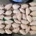 鸡翅中大肉食母鸡三黄鸡翅中各种品种齐全质量产量稳定手续齐全国