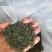 高品质高山茶叶