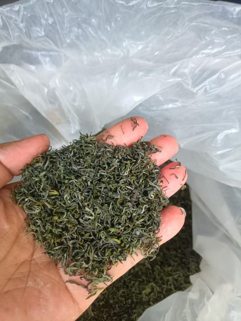 高品质高山茶叶