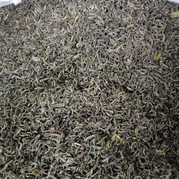高品质高山茶叶