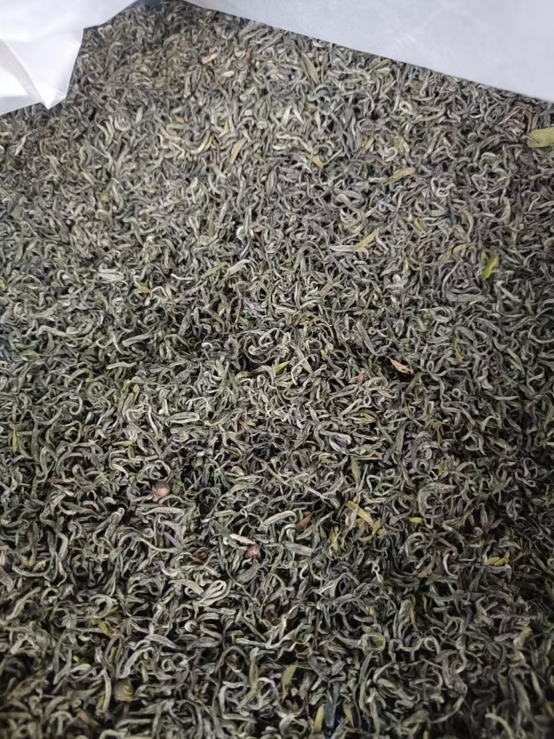 高品质高山茶叶