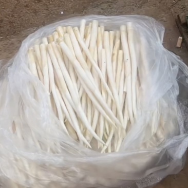 云南特产蔬菜，蒙自批发价格