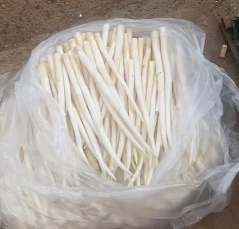 云南特产蔬菜，蒙自批发价格