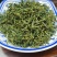 日照绿茶露天新茶绿茶春茶2025