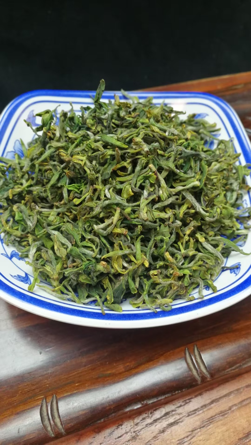 日照绿茶露天新茶绿茶春茶2025