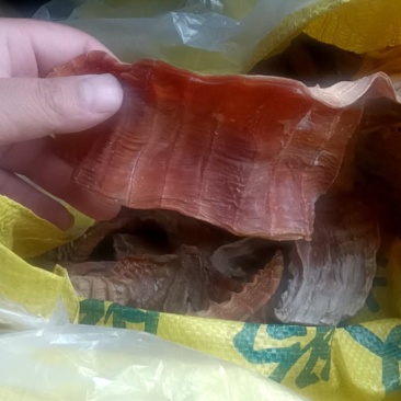 竹笋干