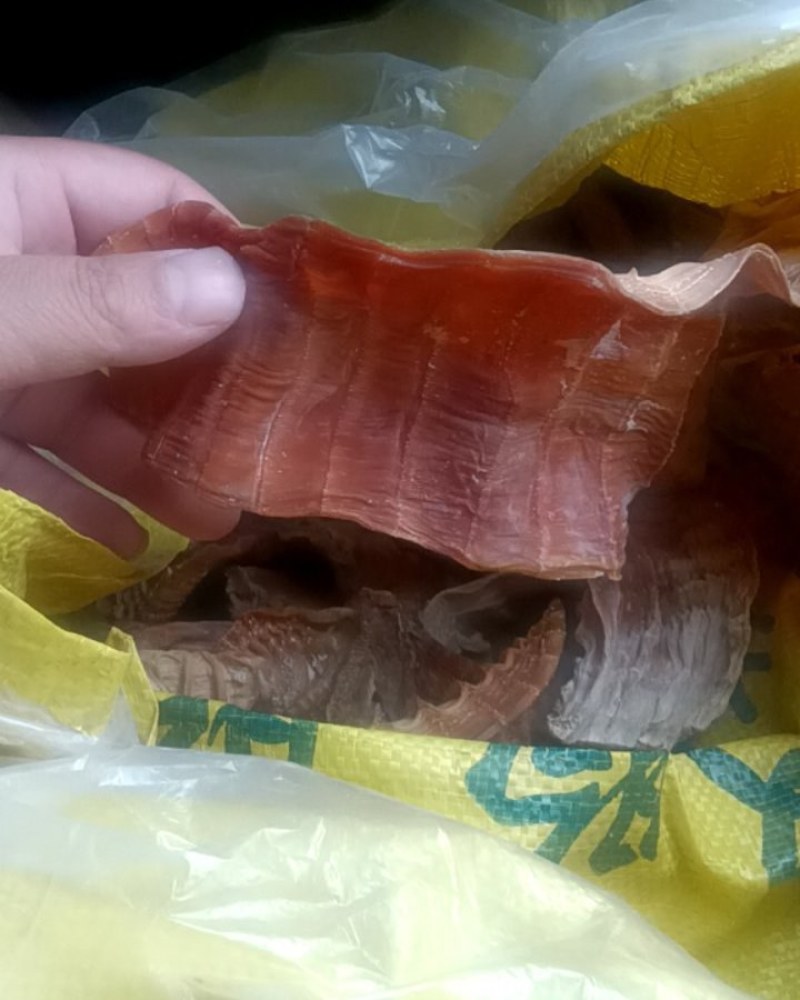 竹笋干