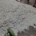 四川蚕茧