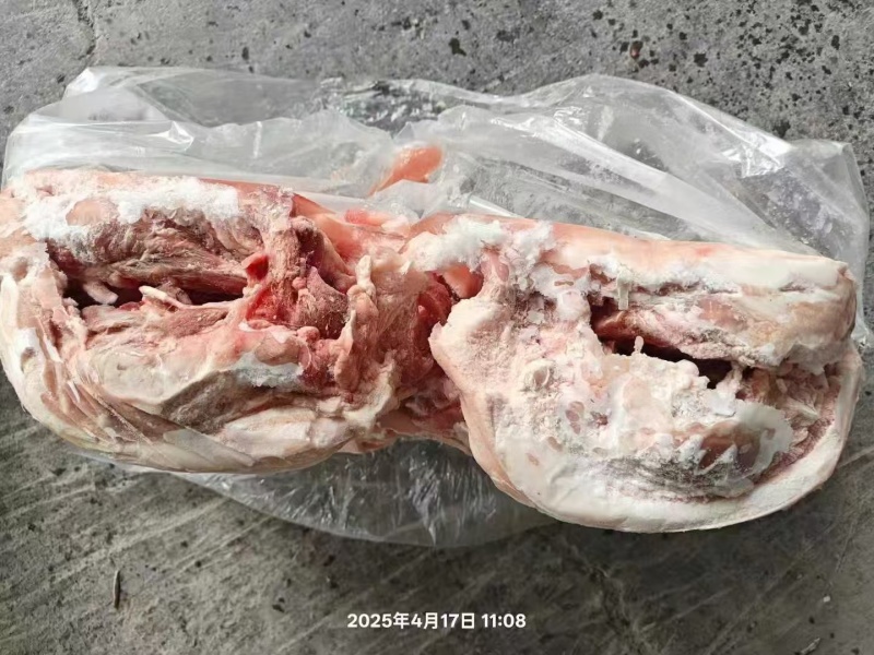 肥猪8-10无耳头新货手续齐全