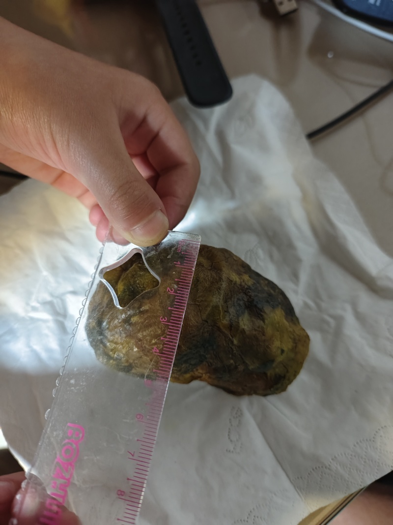 鸡宝保存前后阴干后
