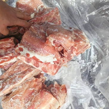 满肉龙骨段货太好，量大谈价
