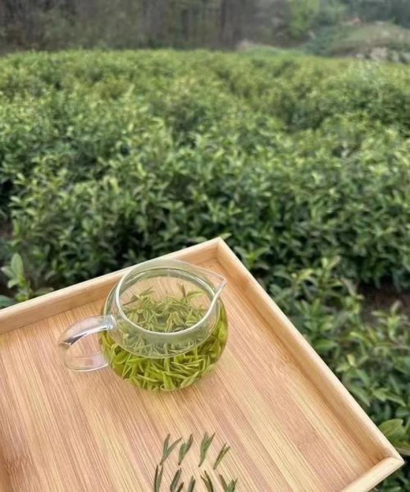 皖南高山汀溪兰香茶