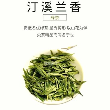 皖南高山汀溪兰香茶