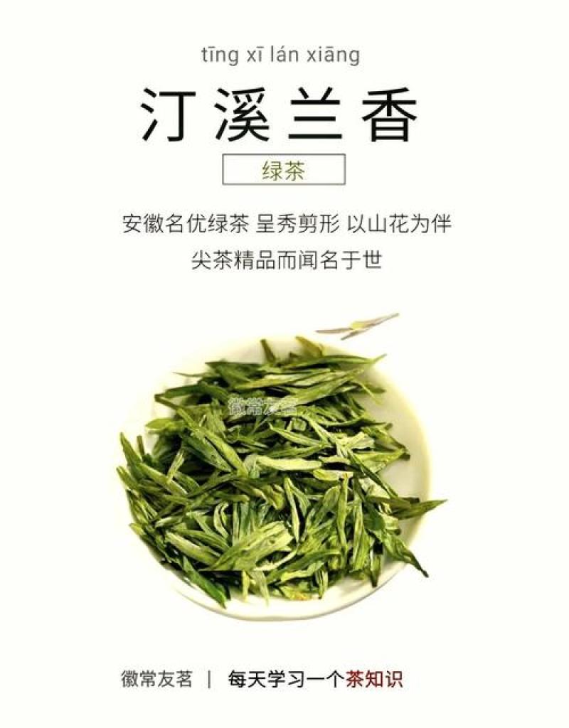 皖南高山汀溪兰香茶