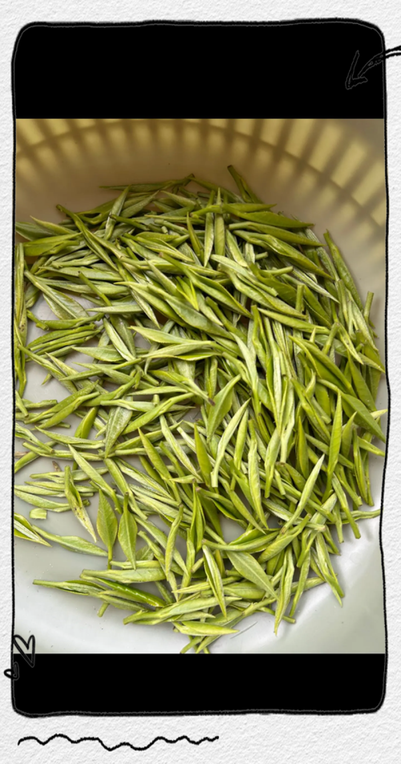 皖南高山汀溪兰香茶