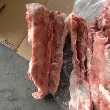 江西肥猪龙骨