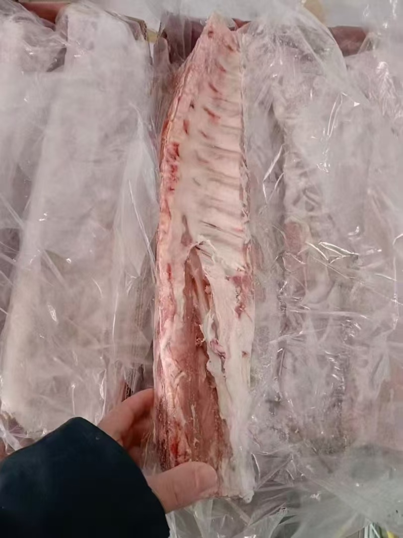 猪排骨通排肋排各种规格精品猪排工厂发货全国物流发货