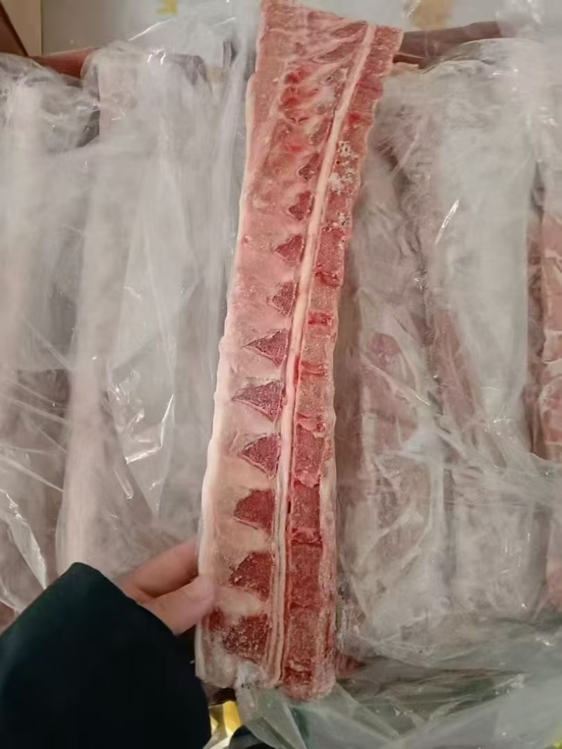 猪排骨通排肋排各种规格精品猪排工厂发货全国物流发货