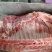 猪排骨通排肋排各种规格精品猪排工厂发货全国物流发货
