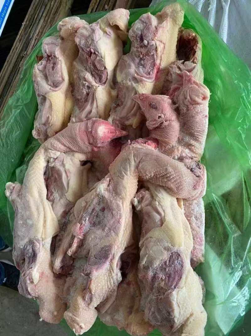 鸡架各种规格鸡架老鸡架
