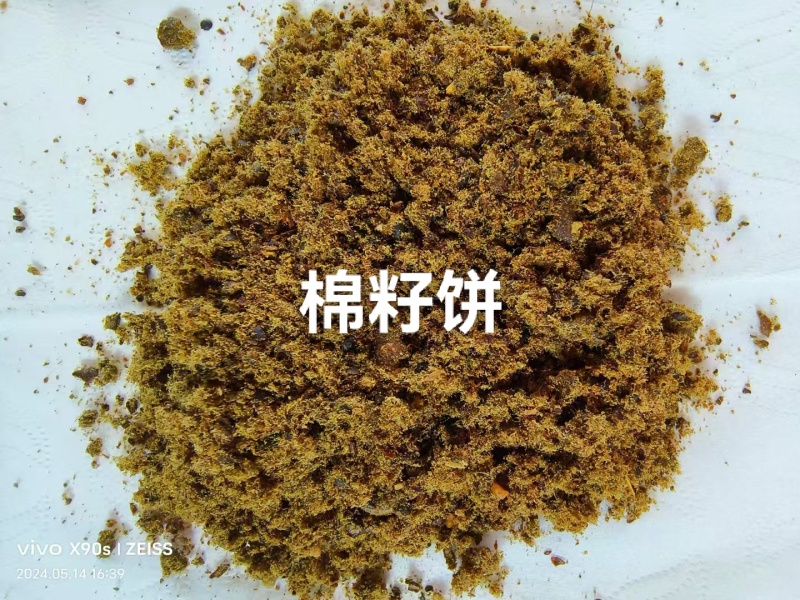 全脂膨化棉籽：蛋白➕脂肪38高能量，利于生长发育。高蛋