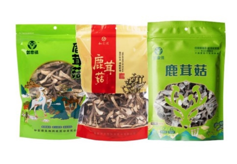 鹿茸菇