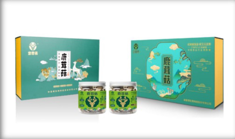鹿茸菇