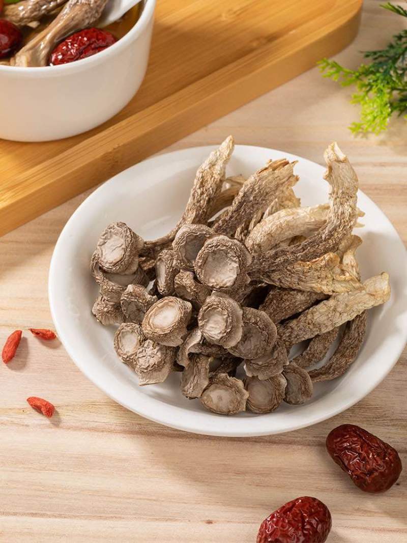 鹿茸菇