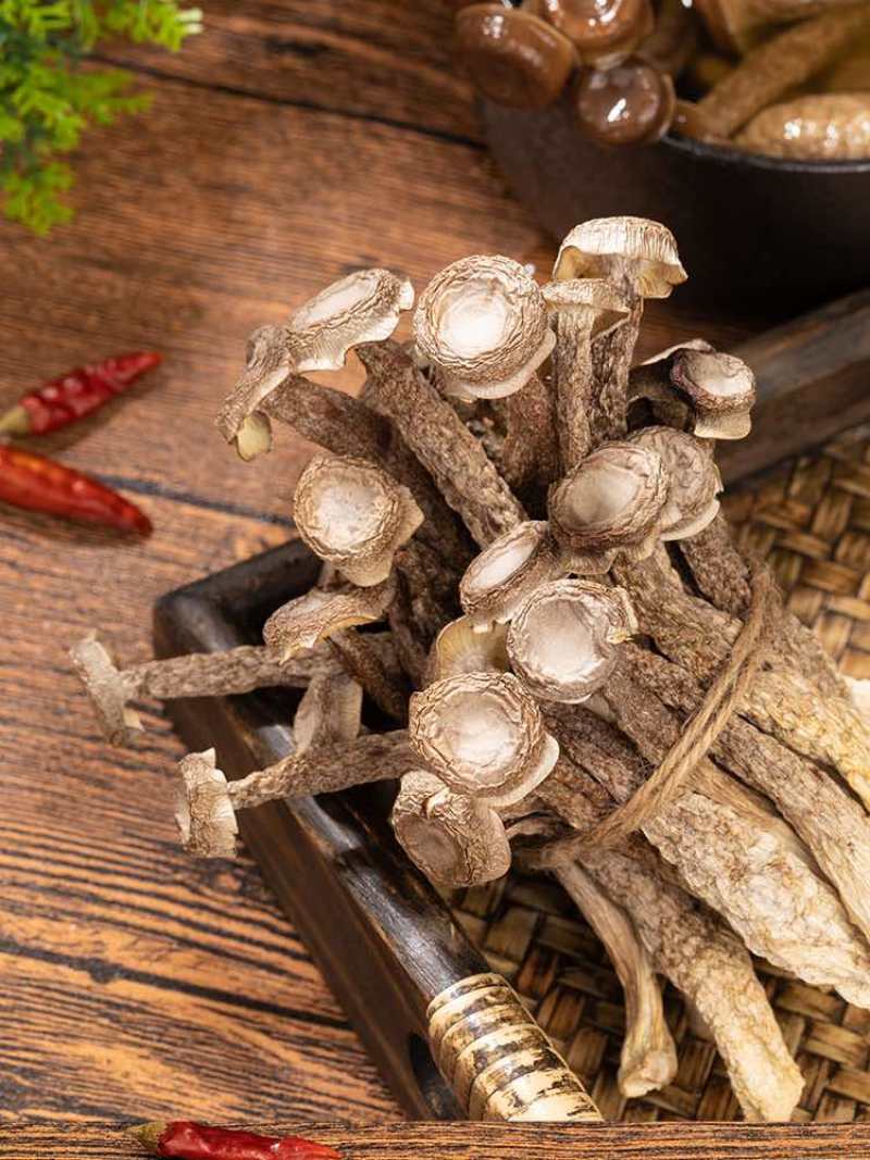 鹿茸菇