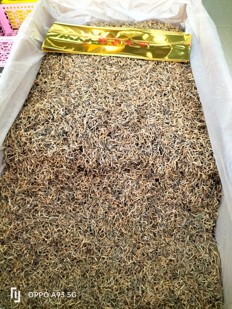 英红九号，