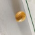 鸡宝