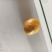 鸡宝