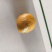 鸡宝