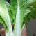 精品快菜